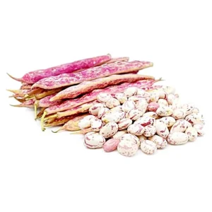 cranberry beans