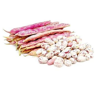 Cranberry Beans cranberry beans