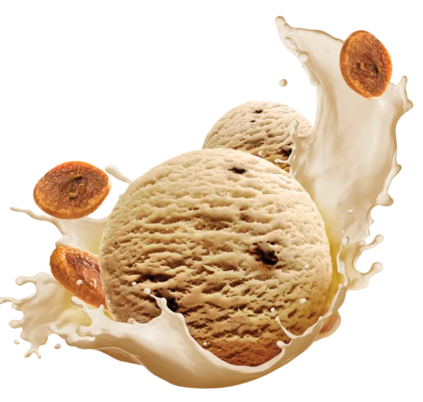 anjeer ice cream 1 ltr